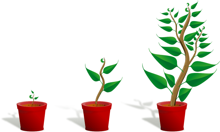 Young plants in pots symbolizing growth in STEM education and future innovation.