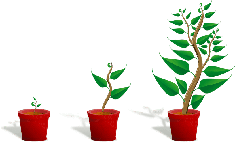 Young plants in pots symbolizing growth in STEM education and future innovation.