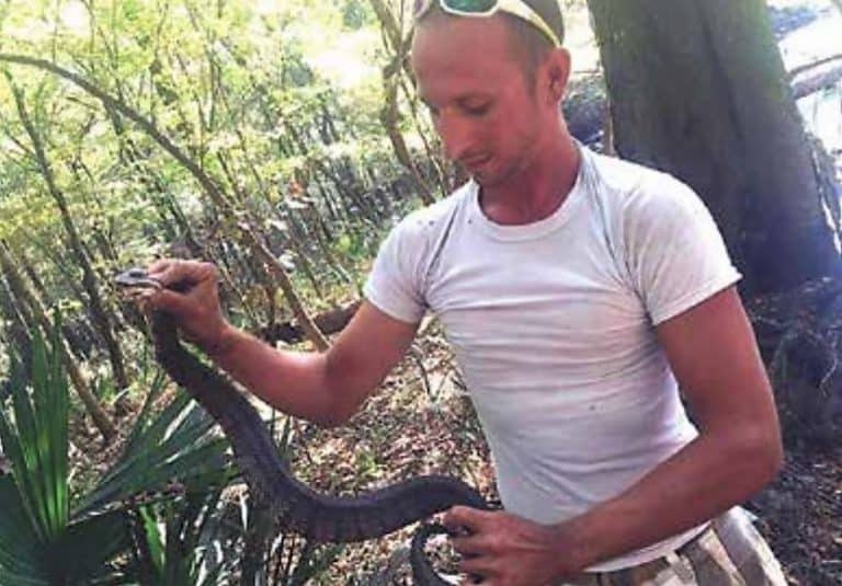 Snake researcher holding a snake in a forest environment.