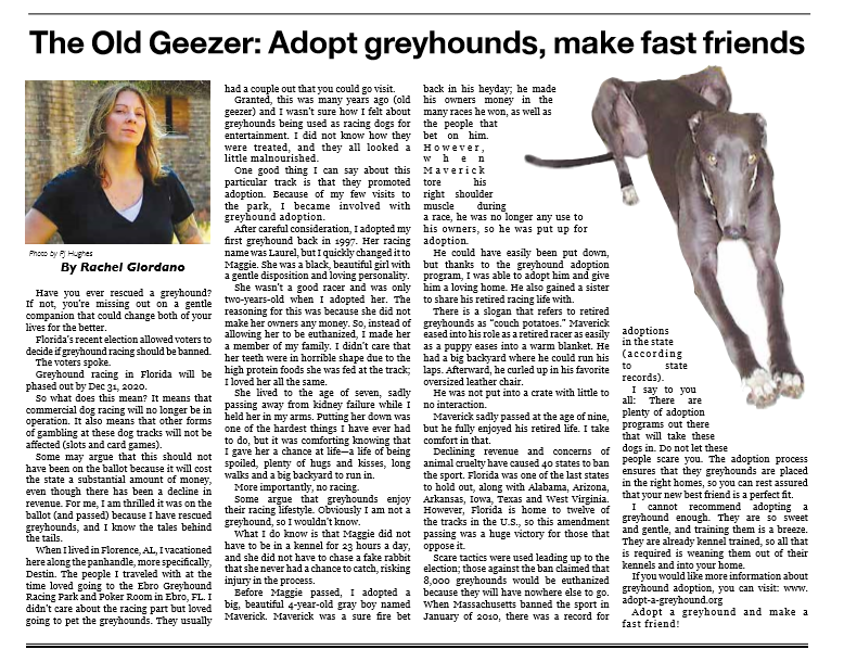 The Old Geezer: Adopt greyhounds, make fast friends