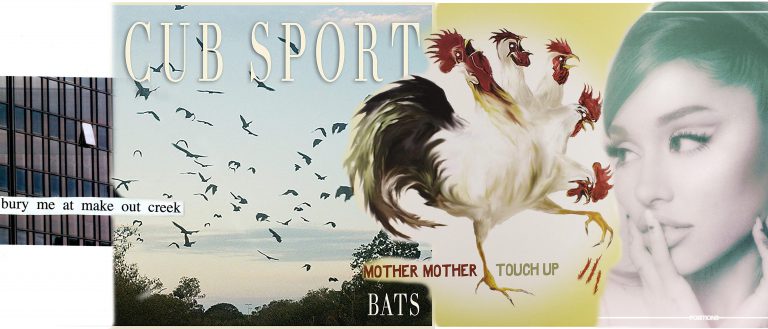ECorsair Cub Sport banner with roosters and birds in the sky.