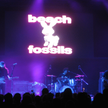 Night Moves: Bringing Pensacola Together Through Music
