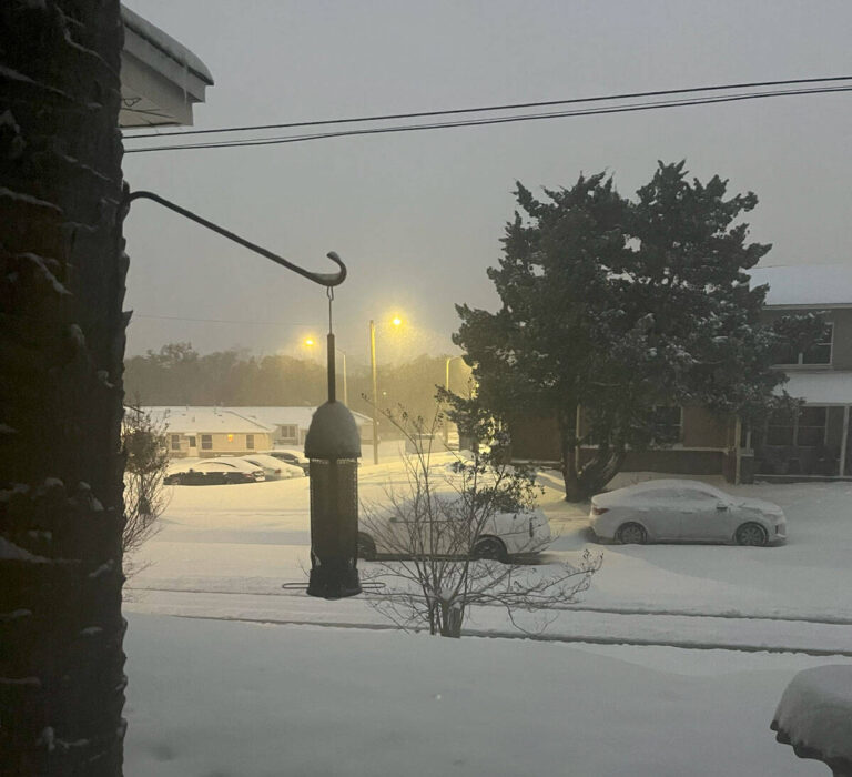 Snow-covered street in Pensacola during record snowfall.