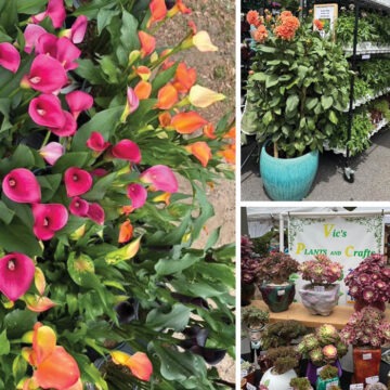 Annual Spring Festival of Flowers