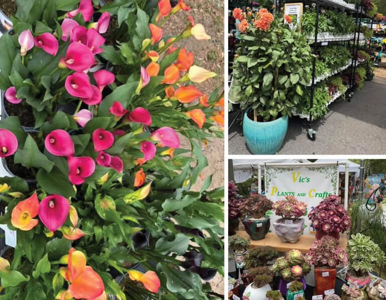 Vibrant spring flowers including calla lilies and orange blossoms at eCorsair event.