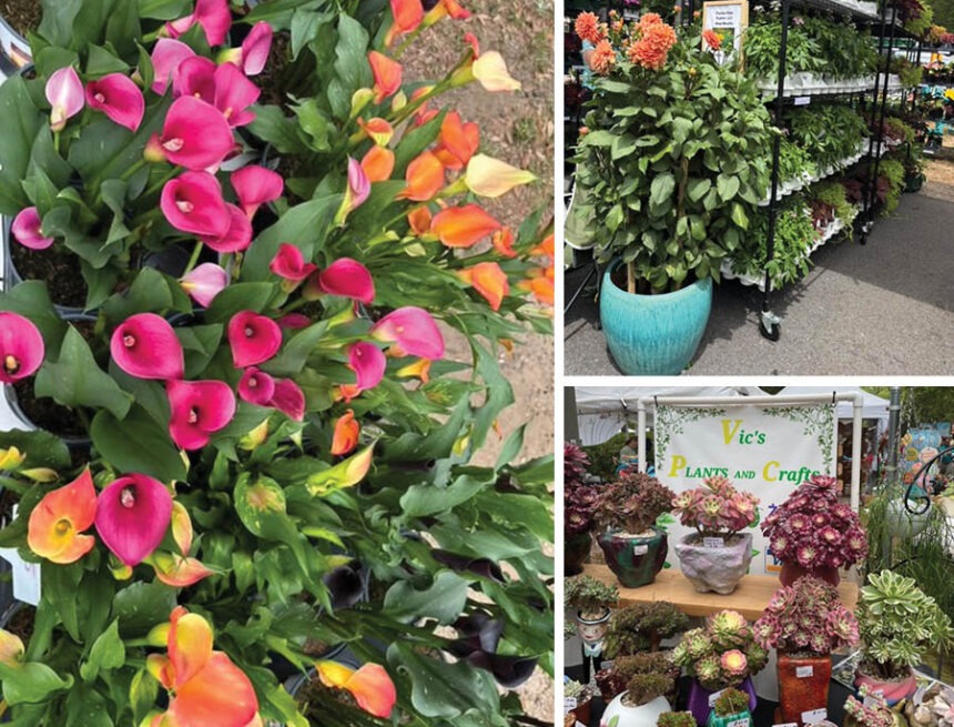 Annual Spring Festival of Flowers Annual Spring Festival of Flowers
