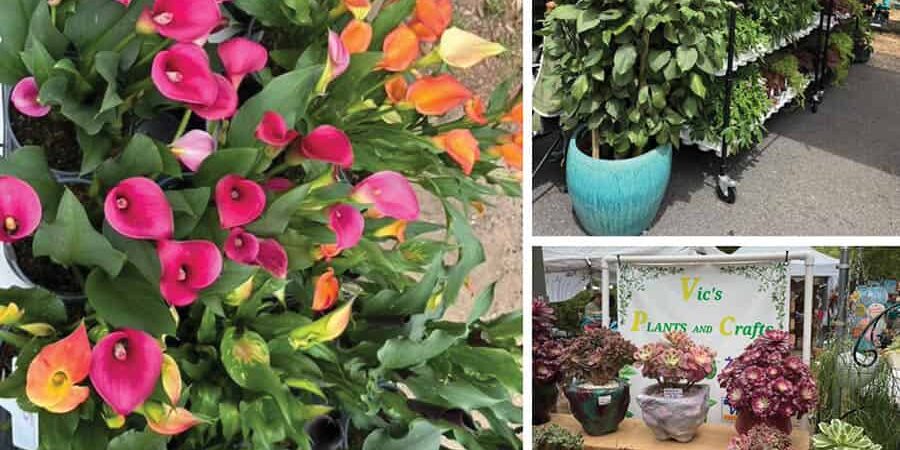 Spring Flowers Display at eCorsair Vibrant spring flowers including calla lilies and orange blossoms at eCorsair event.