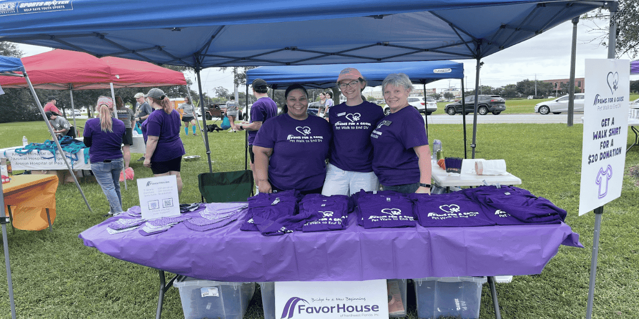 ECorsair booth at community event supporting domestic violence victims.