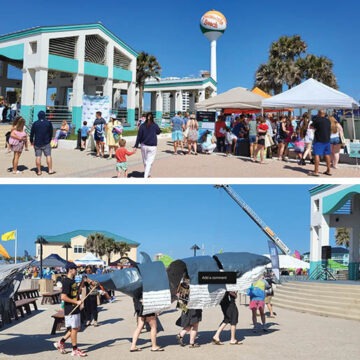 Fin-Flipping Fun: Pensacola Beach’s Gulf Coast Whale Fest