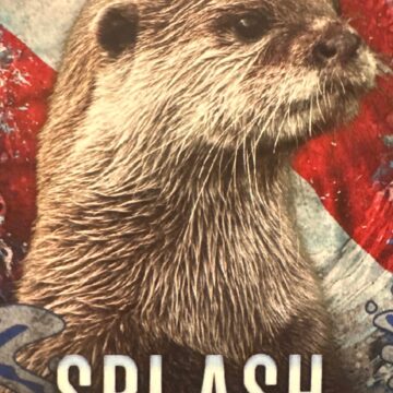 Meet Splash! Meet Splash!