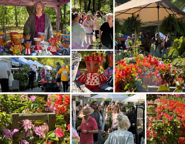 Collage of images from the Festival of Flowers on the Milton Campus.